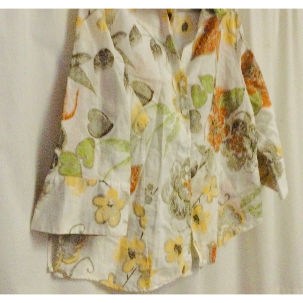 Harve Benard blouse 2x